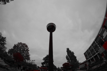 IMGP4466.JPG