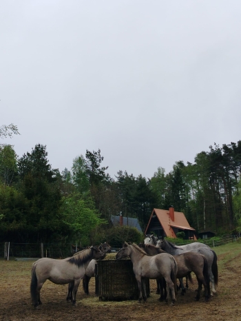 IMG-20260515-WA0002