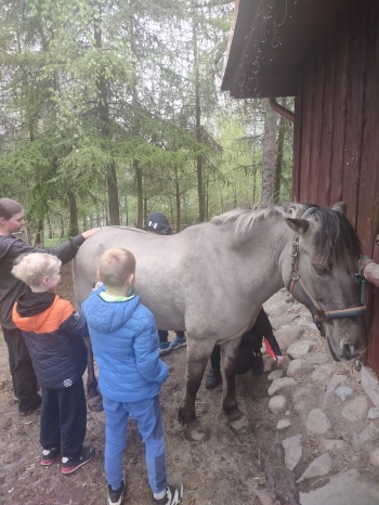 IMG-20260515-WA0010