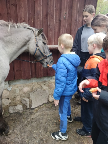 IMG-20260515-WA0033