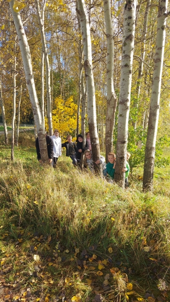 IMG-20261025-WA0001